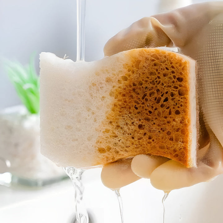 Skanto | Kokosfiber Naturlig Oppvasksvamp