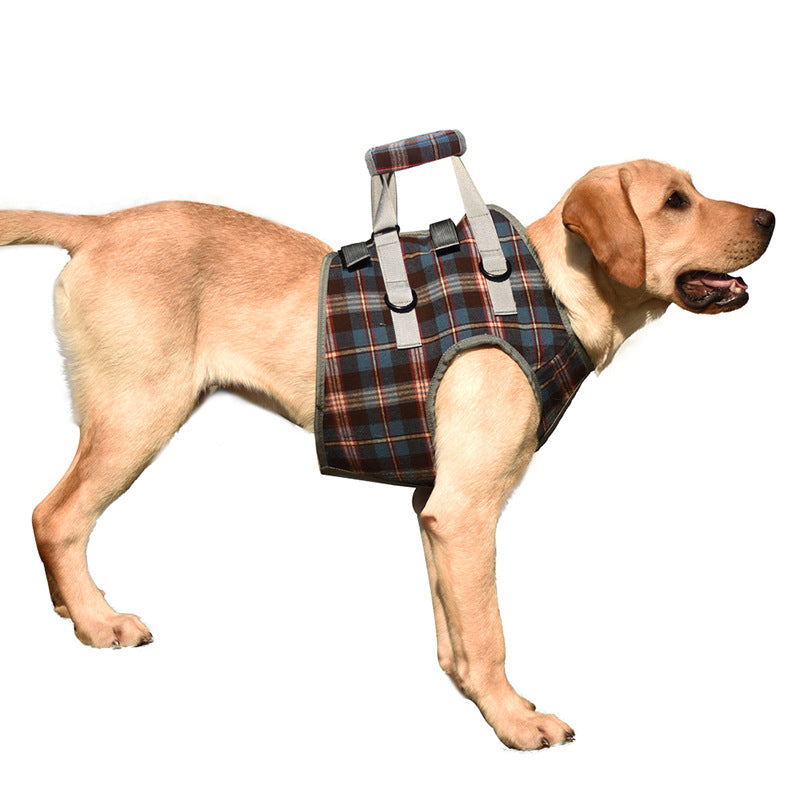 Skanto | Dog Lift Harness with Handle, Pet Recovery Sling