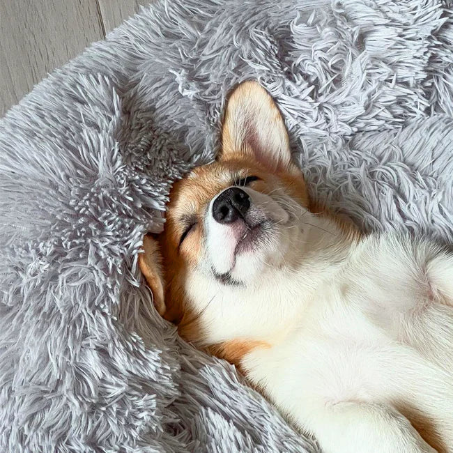 Skanto | Ortopedisk Plysj Donut Hundeseng