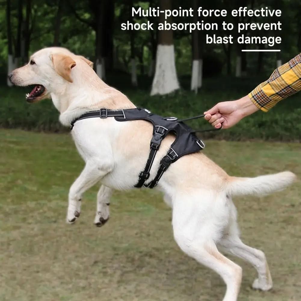 Norvo | Reflekterende & rømingssikker for avslappende turer