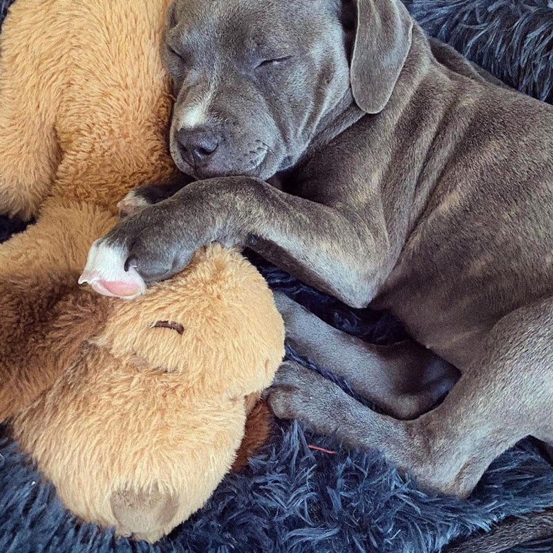 Norvo | Snuggle Puppy - Angsts- og ensomhetsdempende kosedyr