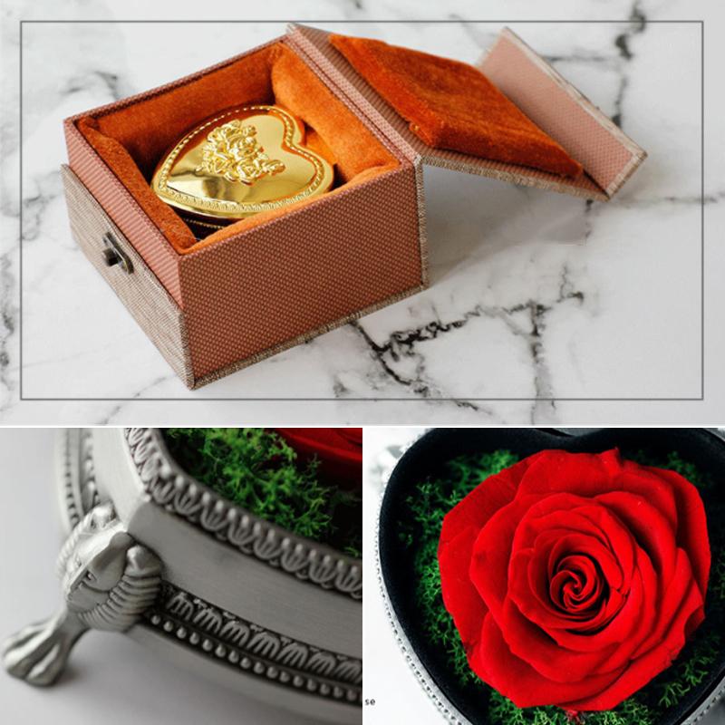 Skanto | Immortal Rose Gaveeske