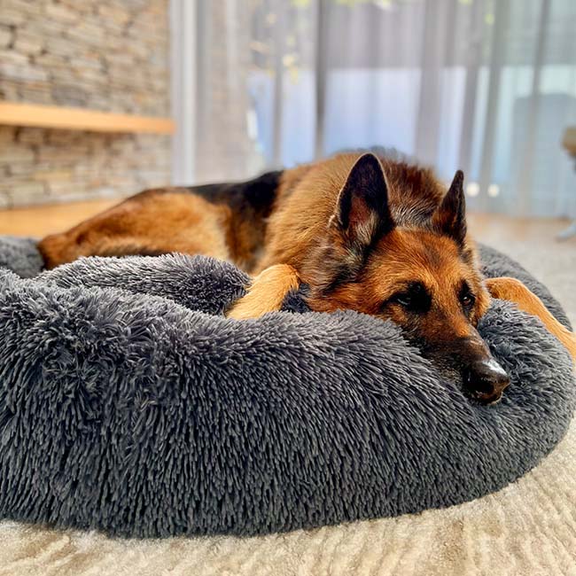 Skanto | Beroligende Hundeseng