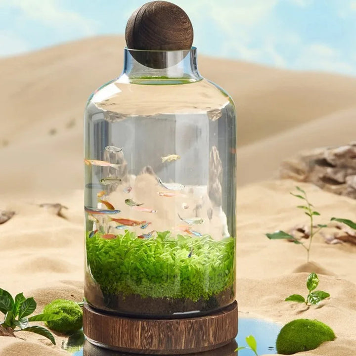 Mikro Akvarium Kompakt Glass Økologisk Fisken Tank | Skanto