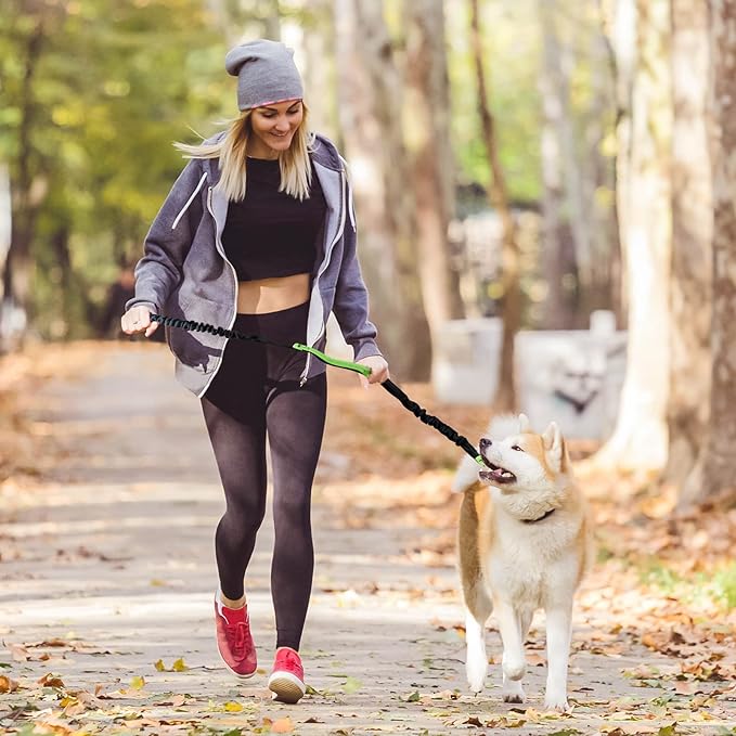 Skanto | PawsFree Pro – Nyt stressfrie turer med hunden din