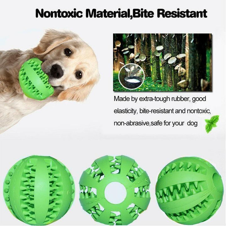 Skanto | Hund Gnekkegummi Ball