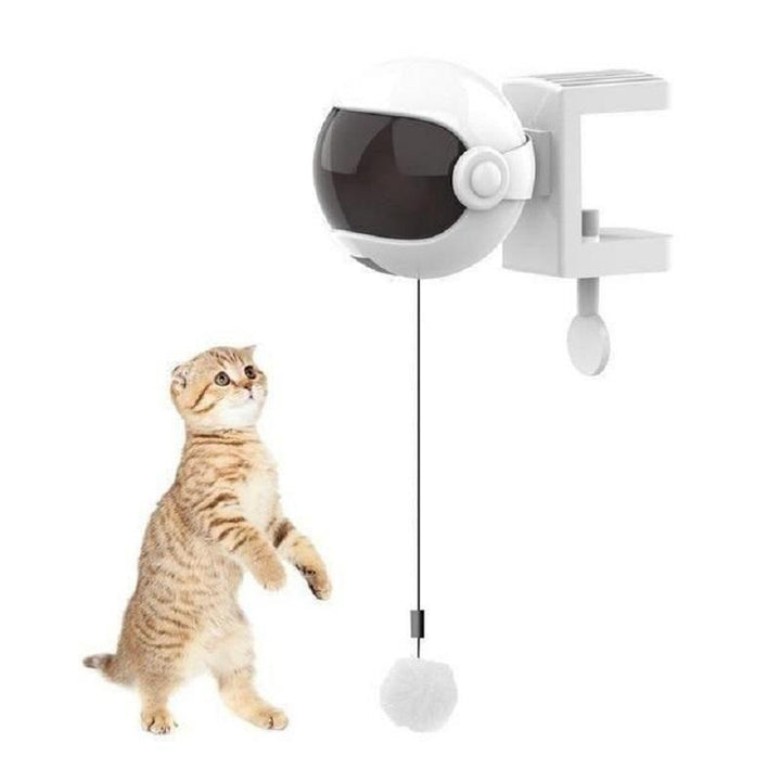 Skanto | Lifting Ball Elektrisk Katt Leketøy