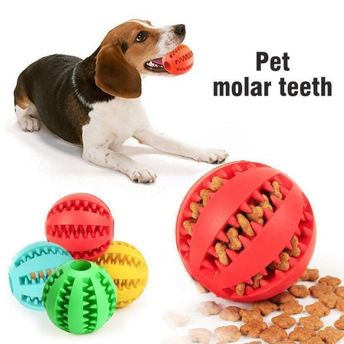 Skanto | Hund Gnekkegummi Ball