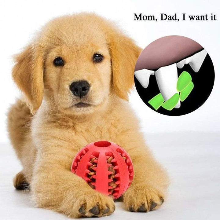 Skanto | Hund Gnekkegummi Ball