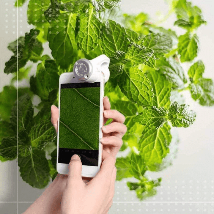 Skanto | LED Mobiltelefon Mikroskop