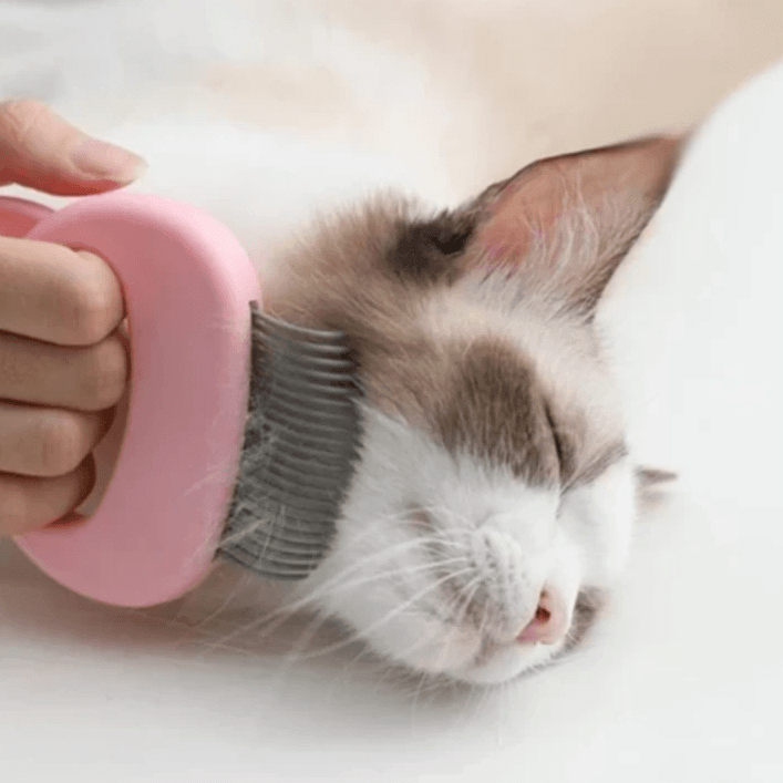 Skanto | MASSAGE & CARE JOY FOR YOUR CAT!