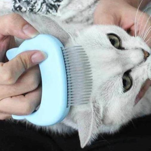 Skanto | MASSAGE & CARE JOY FOR YOUR CAT!