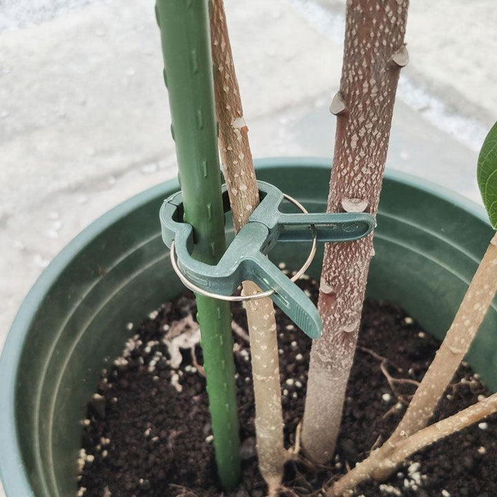 Skanto | Gjenbrukbare hageblomster leveringssløyfe grepklips