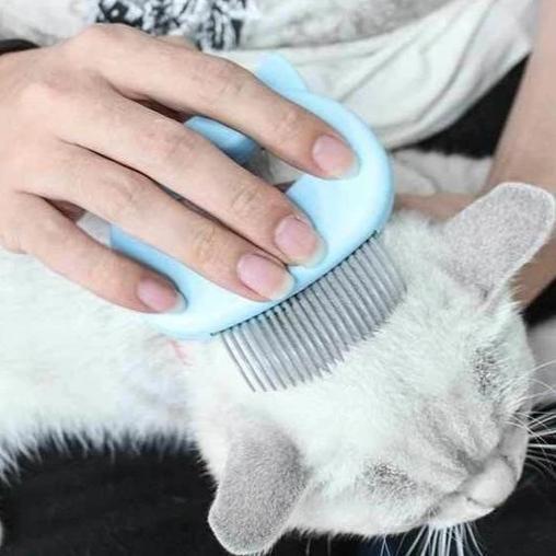 Skanto | MASSAGE & CARE JOY FOR YOUR CAT!