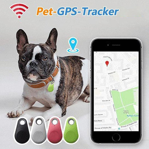 Skanto | Smart GPS-tracker for kjæledyr