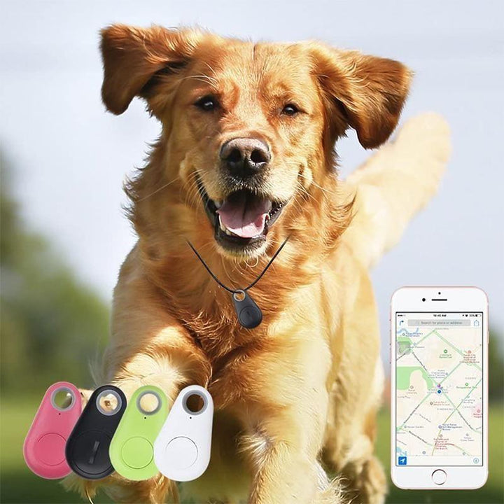 Skanto | Smart GPS-tracker for kjæledyr