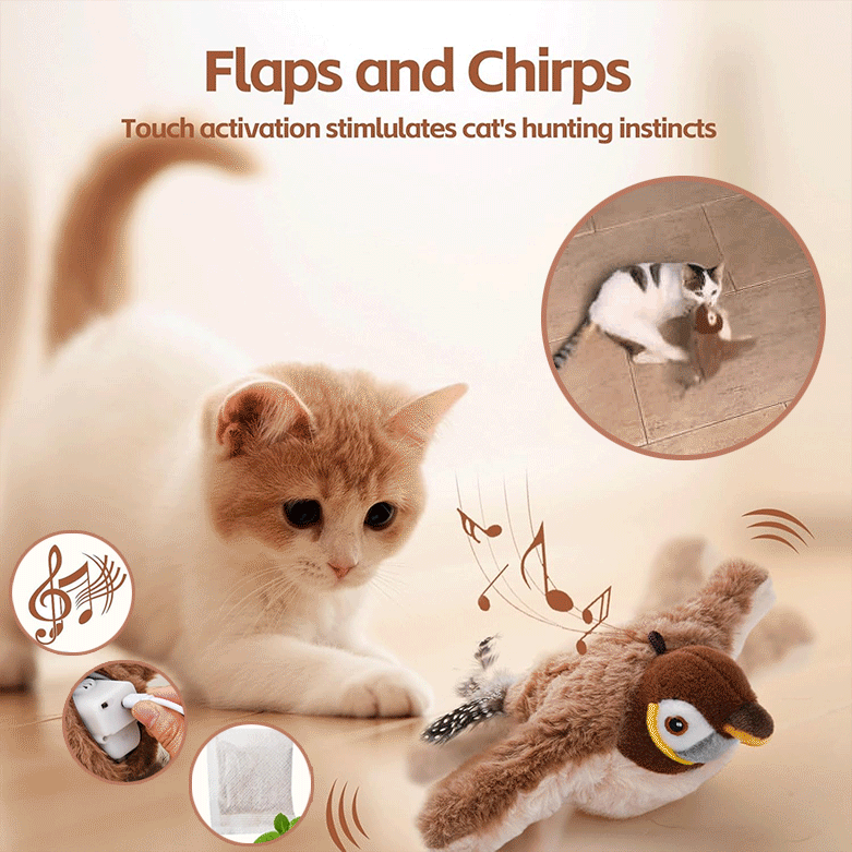 Skanto | FangBird — Tenn den ville leken som driver katten din gal!