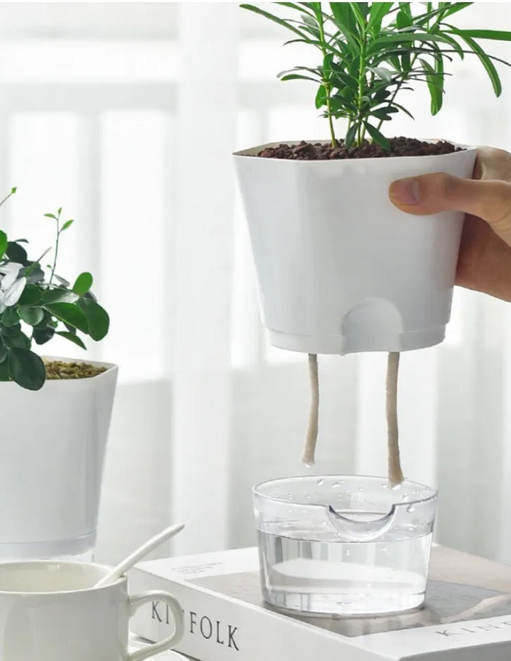 Skanto | Blomsterpotte med vannbeholder – Selvvannende blomsterpotte for stueplanter