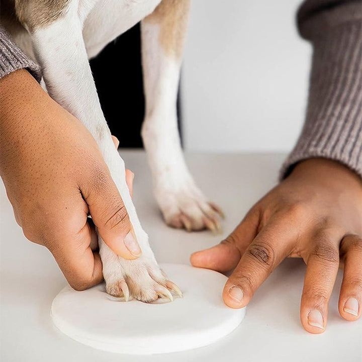 Skanto | Clay Pet Paw Impression Moulding Kit