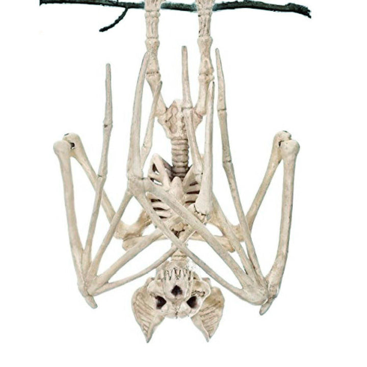 Skanto | Veggkunst Hengende Skeletflater Ornament