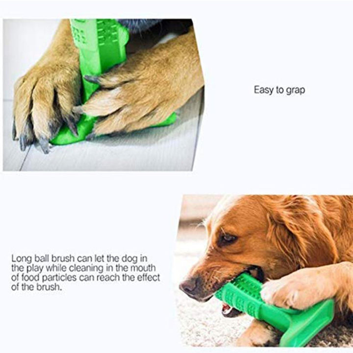 Skanto | Pet Dog Toothbrush