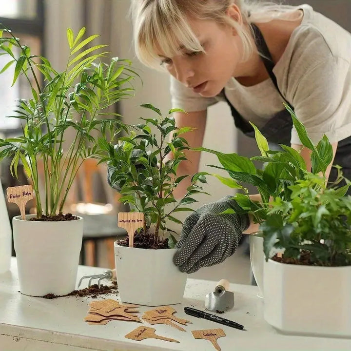 Skanto | Planteetiketter laget av tre for hage og balkong – Om skrivbare etiketter for urter og planter