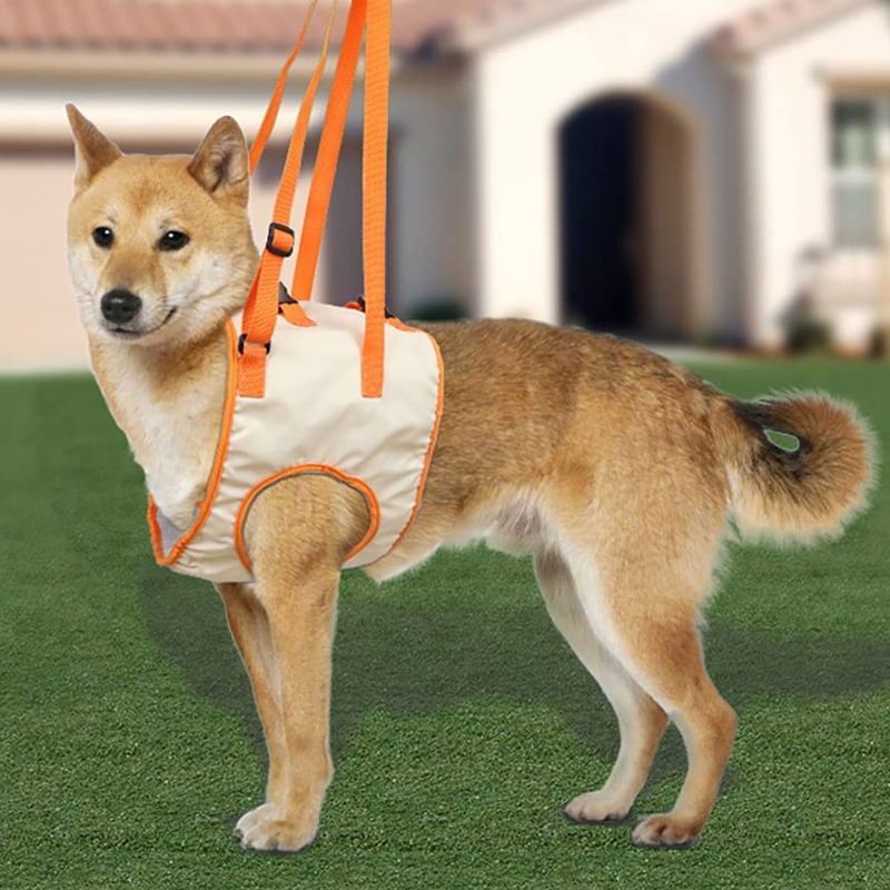 Skanto | Dog Support Lift Harness for ACL Rehab & Arthritis