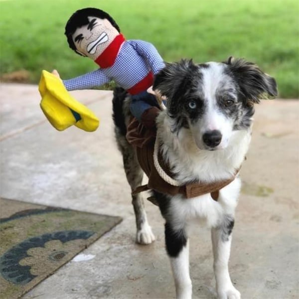 Skanto | Cowboy Rytter Hund Kostyme