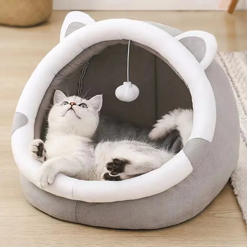 Skanto | PurrOasis – Det koselige tilfluktsstedet for lykkelige katter