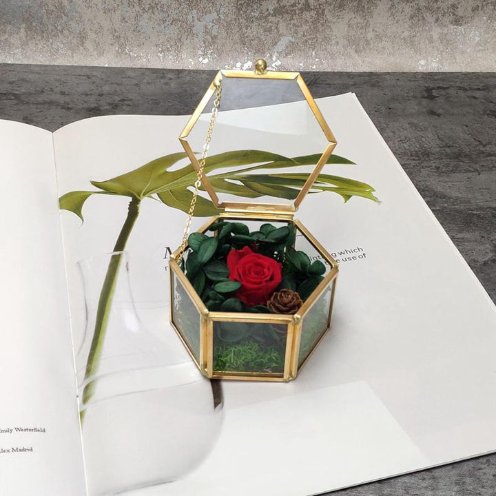 Skanto | Sekskantet Transparent Glass Smykkeske