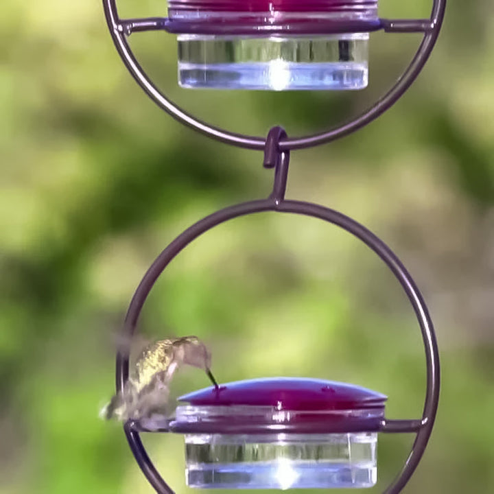 Skanto | Enkel Kolibri Vannedispenser Laget av Metall
