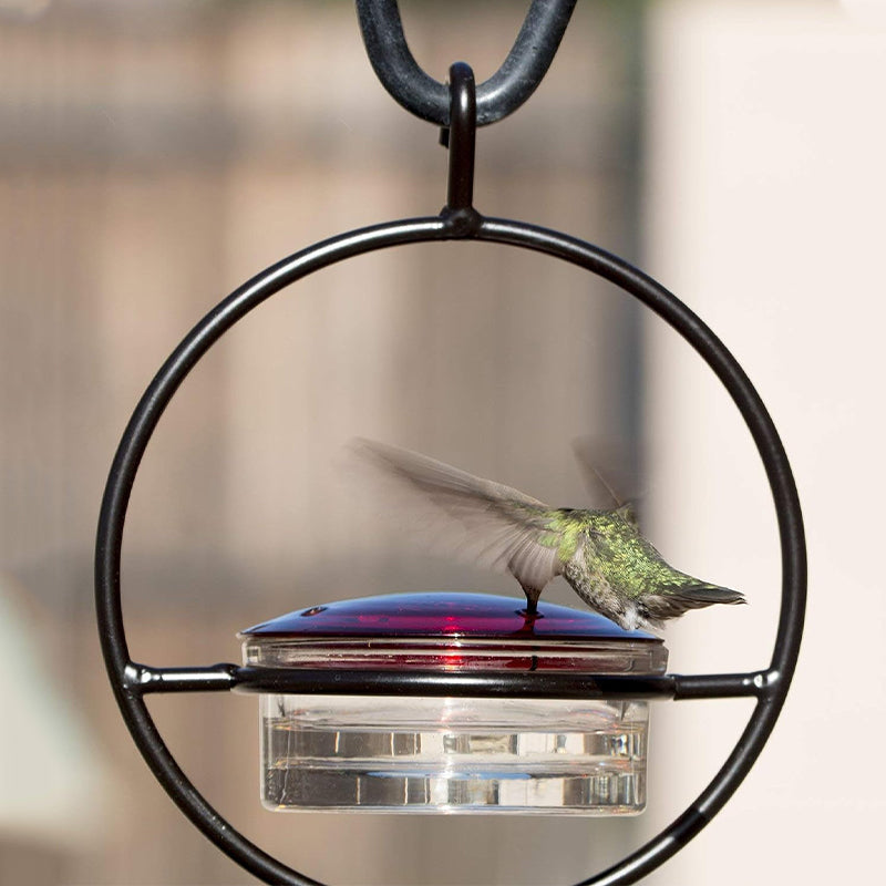 Skanto | Enkel Kolibri Vannedispenser Laget av Metall