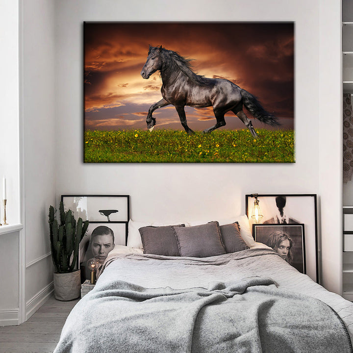 Galopperende svart hest – lerretbilde