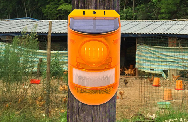 Skanto | Solcelledrevet dyreavviser med alarm – Effektiv beskyttelse mot dyr