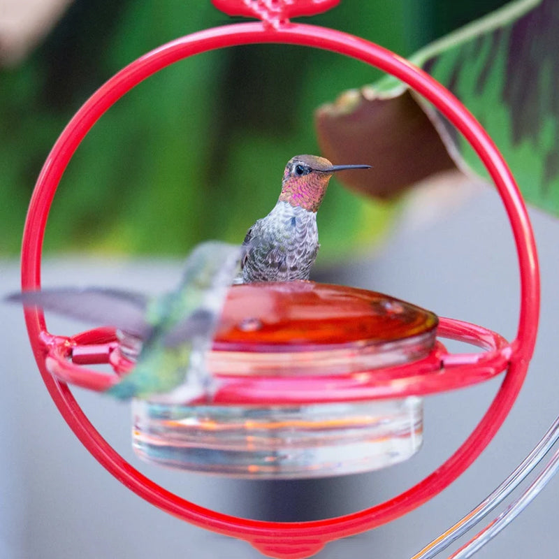 Skanto | Enkel Kolibri Vannedispenser Laget av Metall