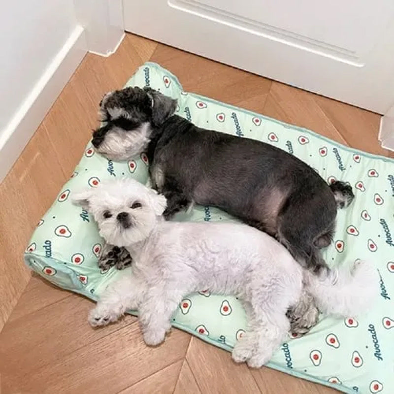 Ice silk cooling mat for pets | Skanto