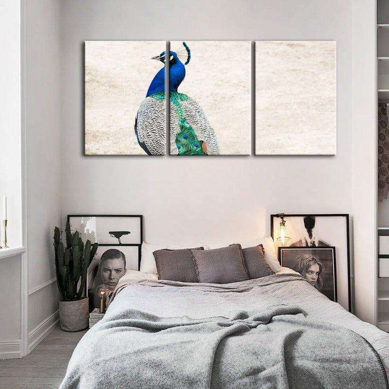 Elegant påfugl design med rock - 3-delt lerret bilde