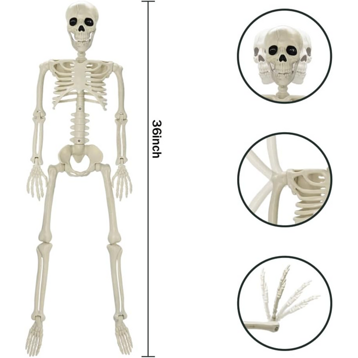 Helkropp Skelet Halloween Dekorasjon – Garantert Skremmende, Morsomt for Alle Skanto