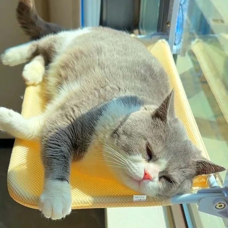 Skanto | Sammenleggbar Katt Vindu S eng