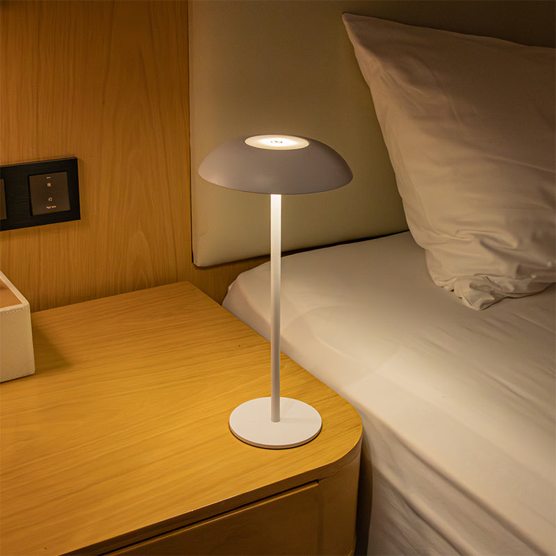 Skanto | Iron Elegance Lampe