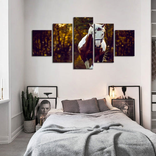 5-delt Courtly Overo hest - lerret veggkunst maleri | Skanto