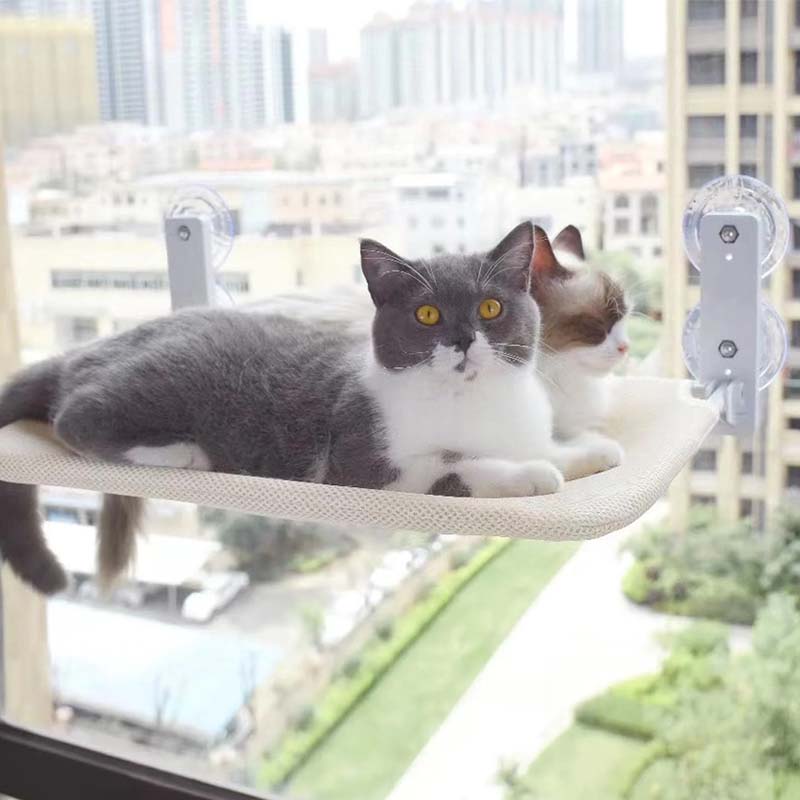 Skanto | Sammenleggbar Katt Vindu S eng