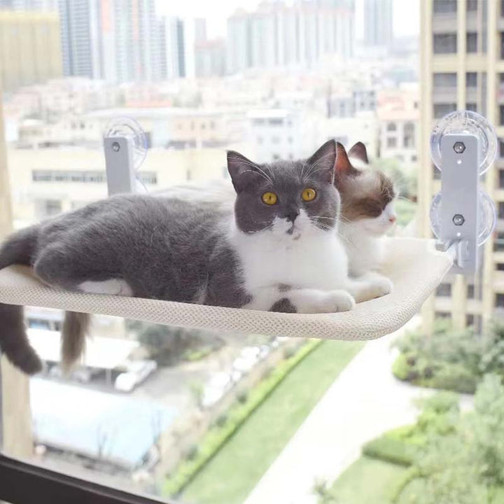 Skanto | Sammenleggbar Katt Vindu S eng
