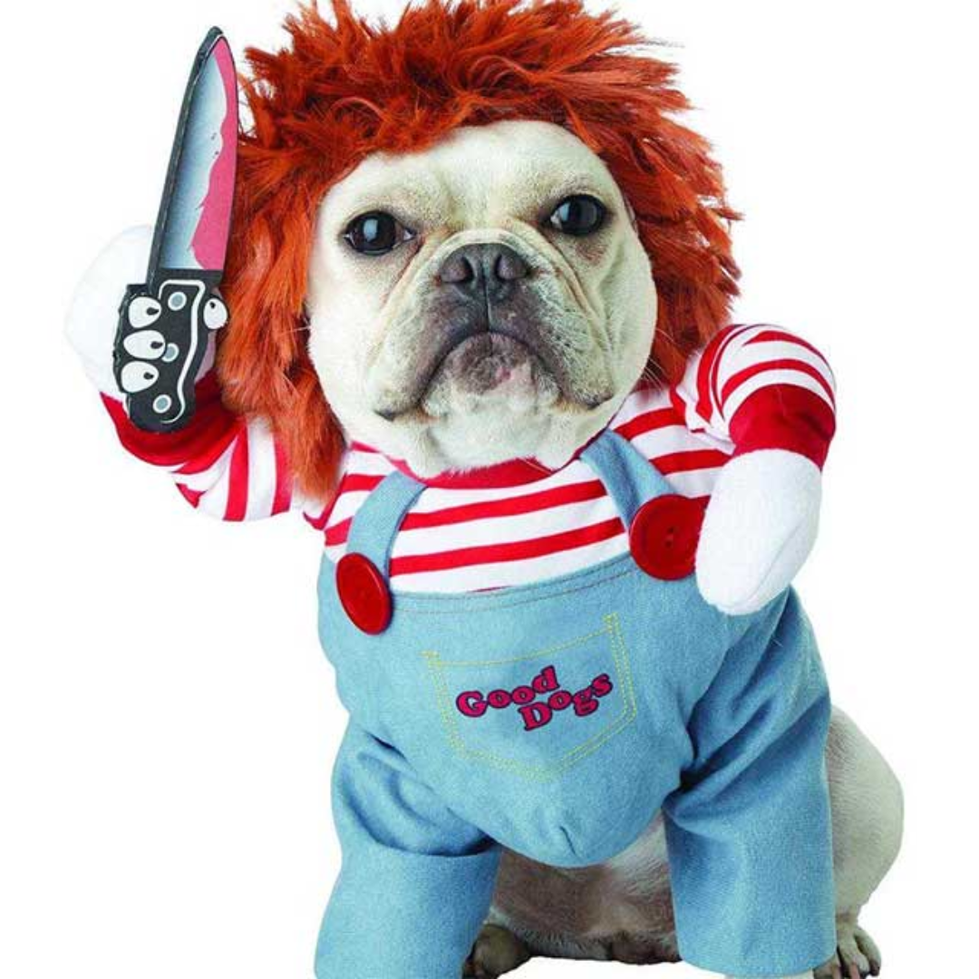 Chucky Kjæledyr Halloween Kostyme – Forsterk Kjæledyrets Lekne Personlighet Skanto