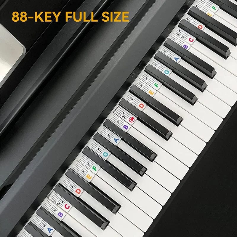 Skanto | Avtagbar Pianotastatur Notelabel