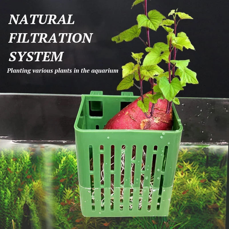 Skanto | Fisketank Hydroponisk Plantekurv