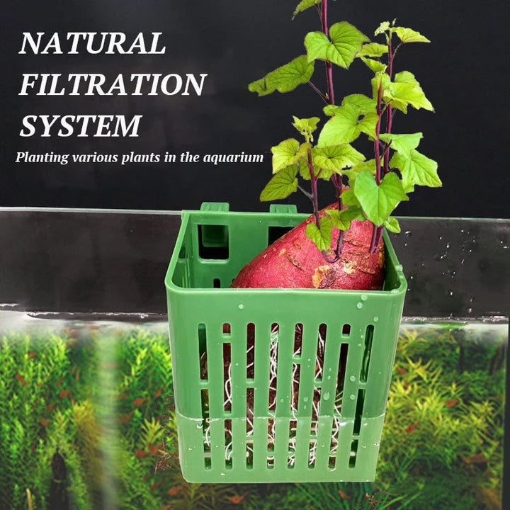 Skanto | Fisketank Hydroponisk Plantekurv