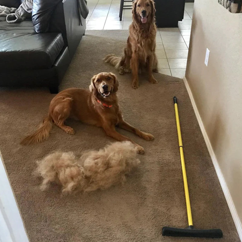 Pet Hair Removal Broom | Skanto