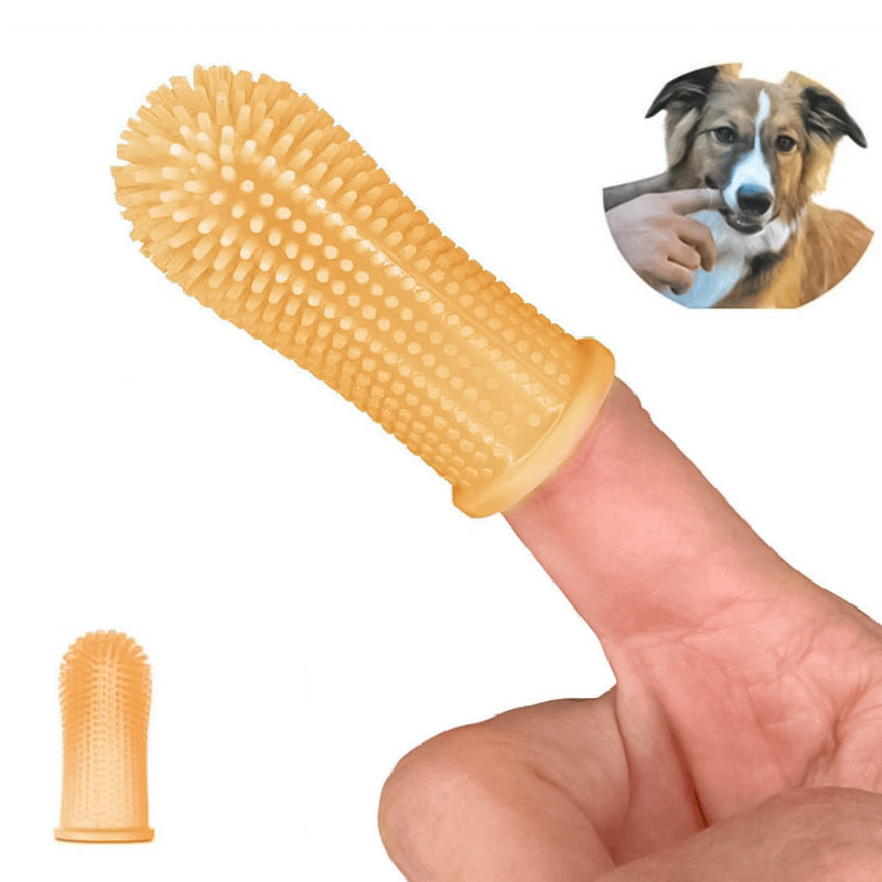 Skanto | Finger tenner for kjæledyr