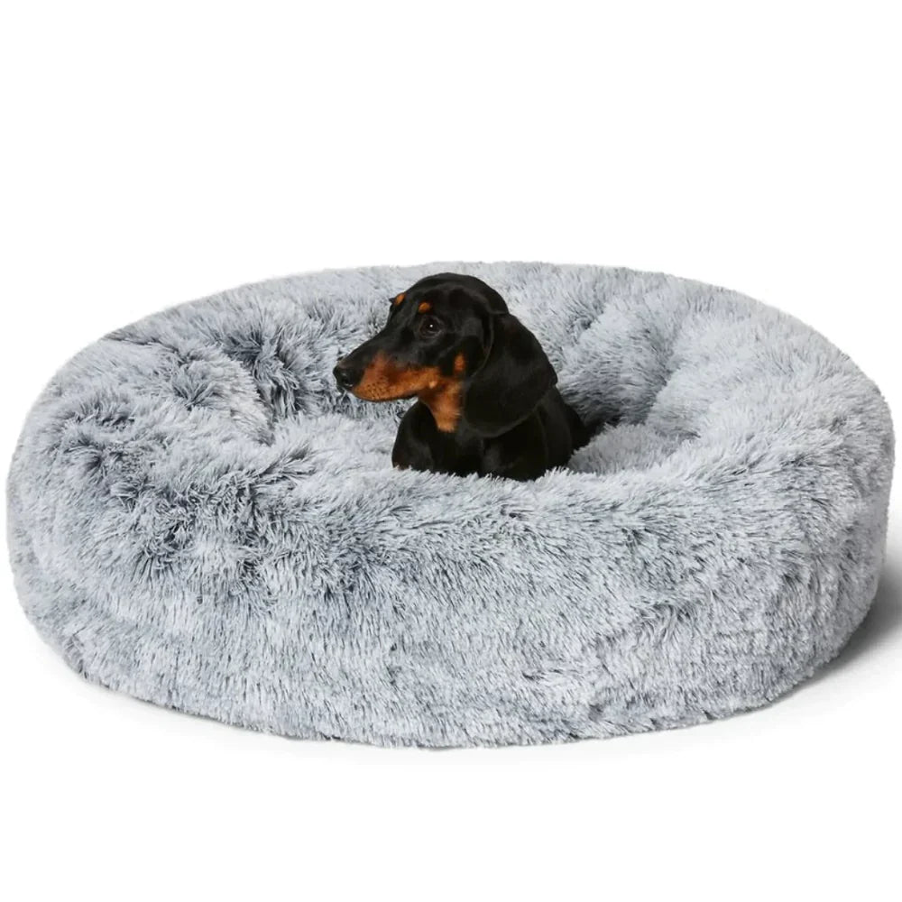 Skanto | Beroligende Hundeseng
